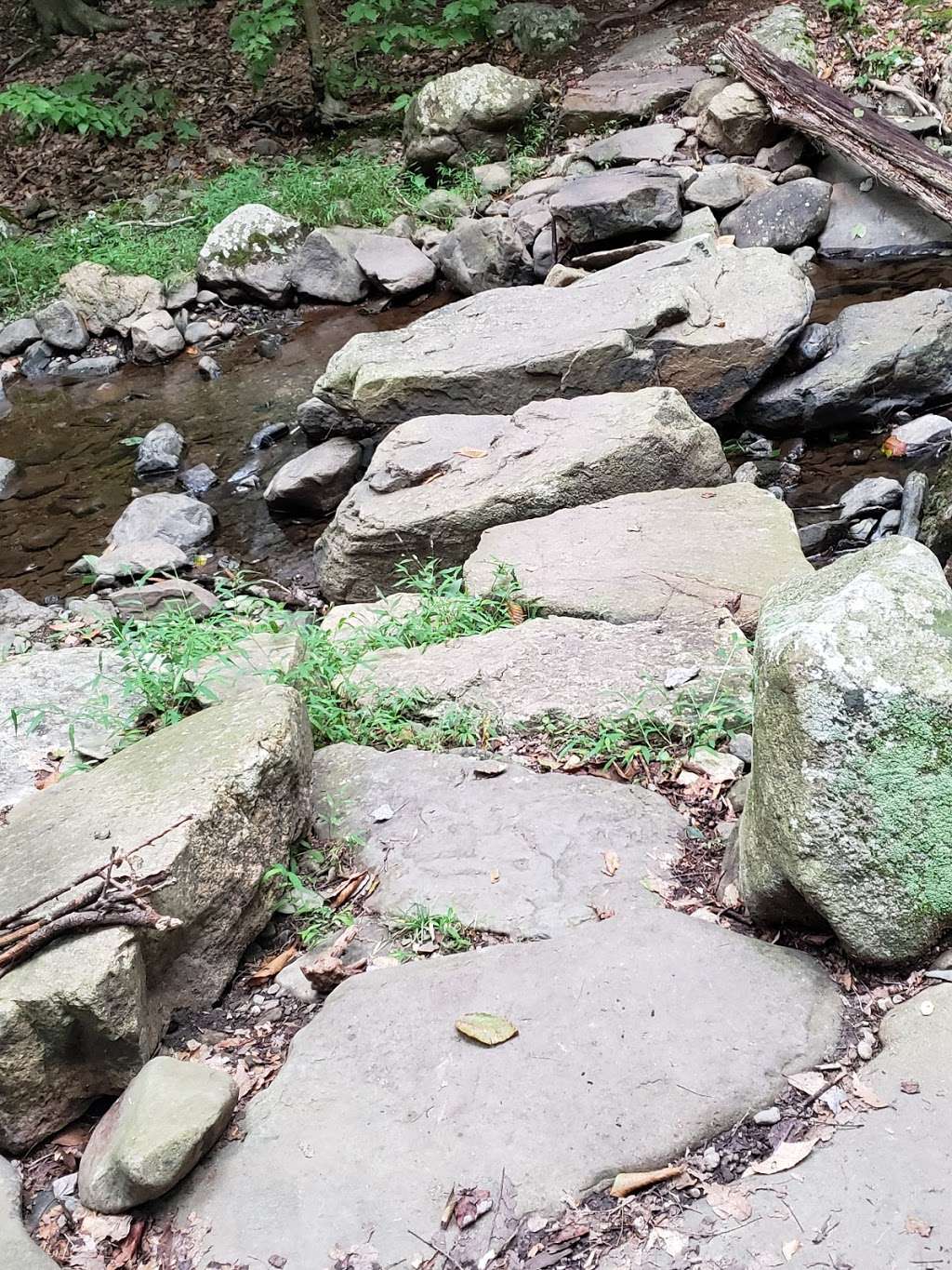 Black Rock - Mineral Springs Hiking trail | 2-16 Old Mineral Springs Rd, Highland Mills, NY 10930