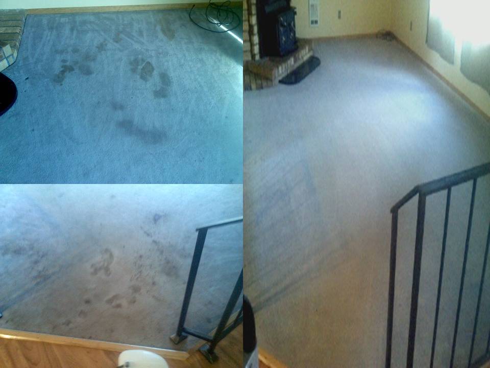 Premier Carpet Cleaning | 5519 NE 49th Ave, Vancouver, WA 98661 | Phone: (360) 356-4500