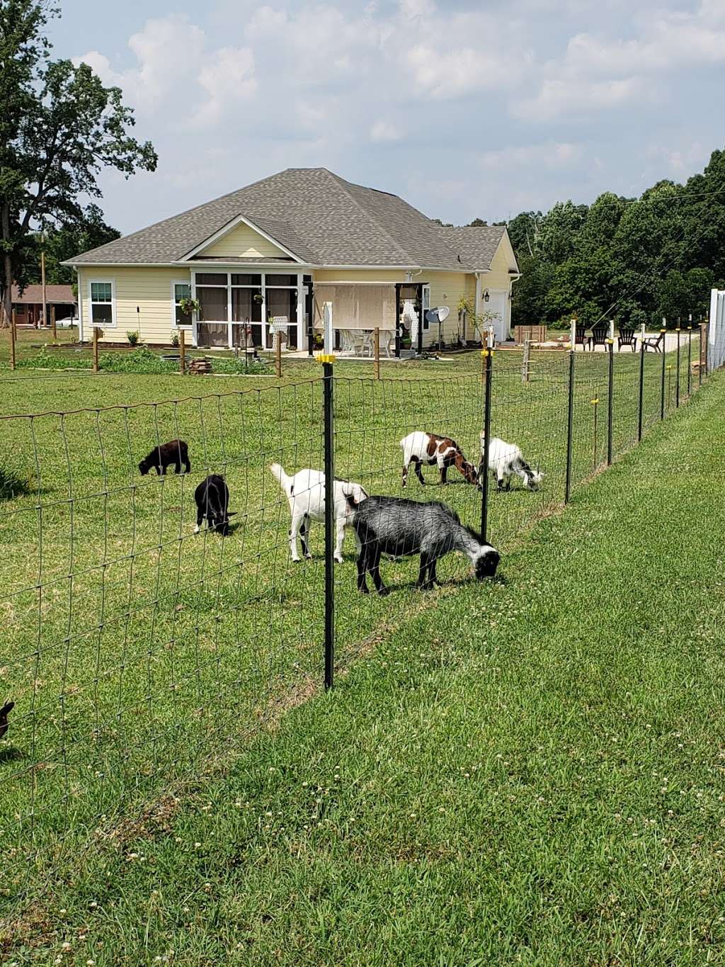 Community Walking Trail & Playground | 149 Howards Creek Mill Rd, Lincolnton, NC 28092, USA | Phone: (704) 276-2423