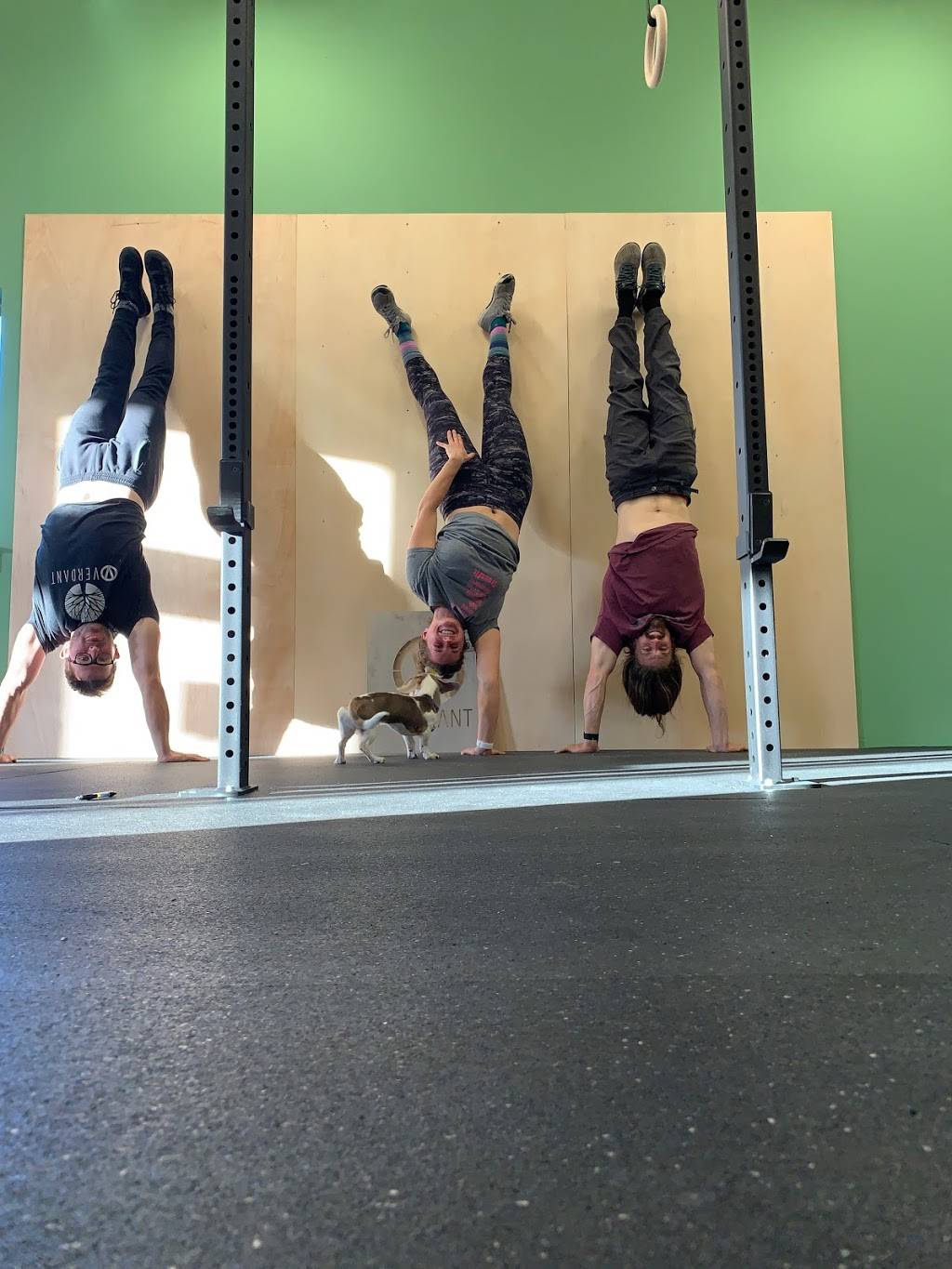 Verdant CrossFit | 528 S Americana Blvd, Boise, ID 83702, USA | Phone: (208) 639-0740