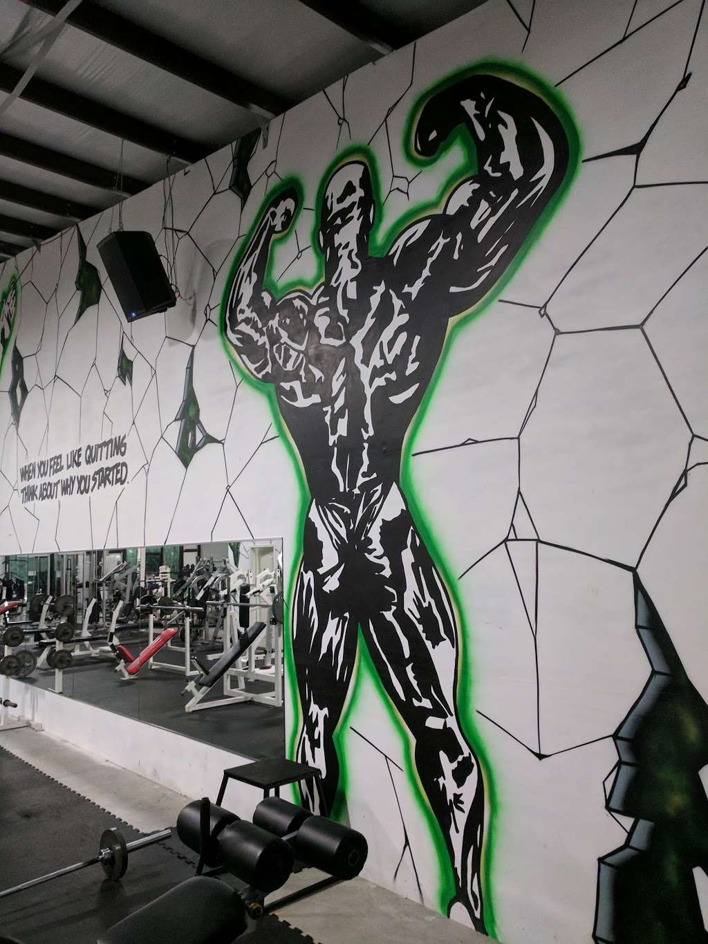 Species Gym | 3115 N Fry Rd #305, Katy, TX 77449, USA | Phone: (832) 427-5770