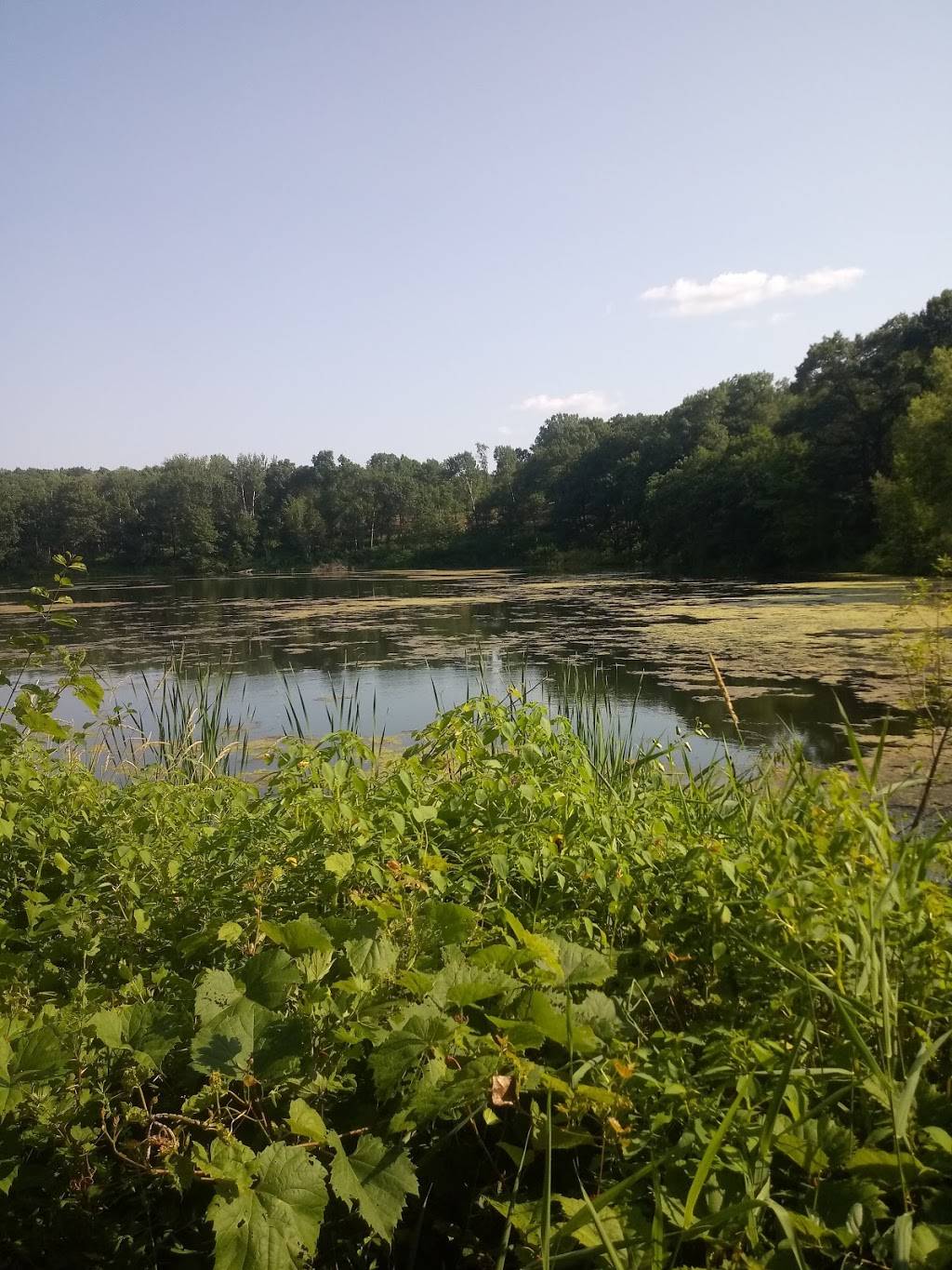 Holland Lake Shelter | 1100 Cliff Rd, Eagan, MN 55123, USA | Phone: (952) 891-7000