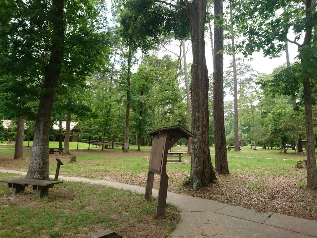 Double Lake Campground | Coldspring, TX 77331, USA