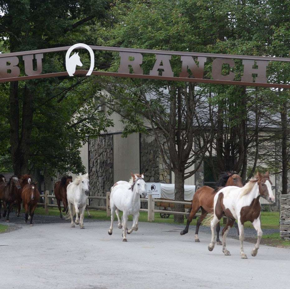 Malibu Dude Ranch | 351 Foster Hill Rd, Milford, PA 18337, USA | Phone: (570) 296-7281