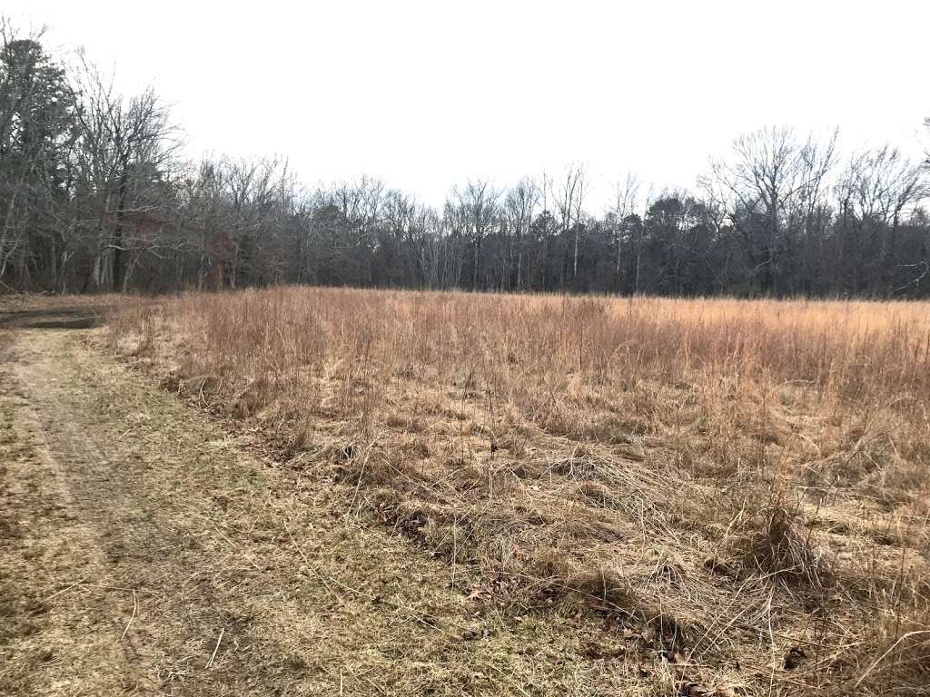 Bear Swamp | 351-, 399 Maxim Rd, Howell, NJ 07731, USA