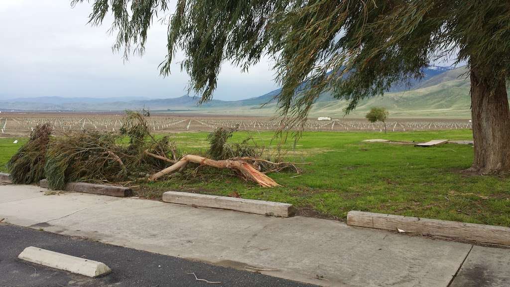 Vivid Development Inc | 500 Kenmar Ln, Arvin, CA 93203, USA | Phone: (661) 854-3163