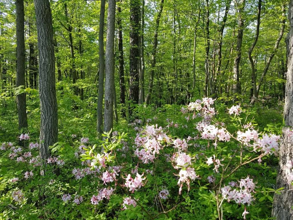 Kings Gap Environmental Education Center | 500 Kings Gap Rd, Carlisle, PA 17015, USA | Phone: (717) 486-5031