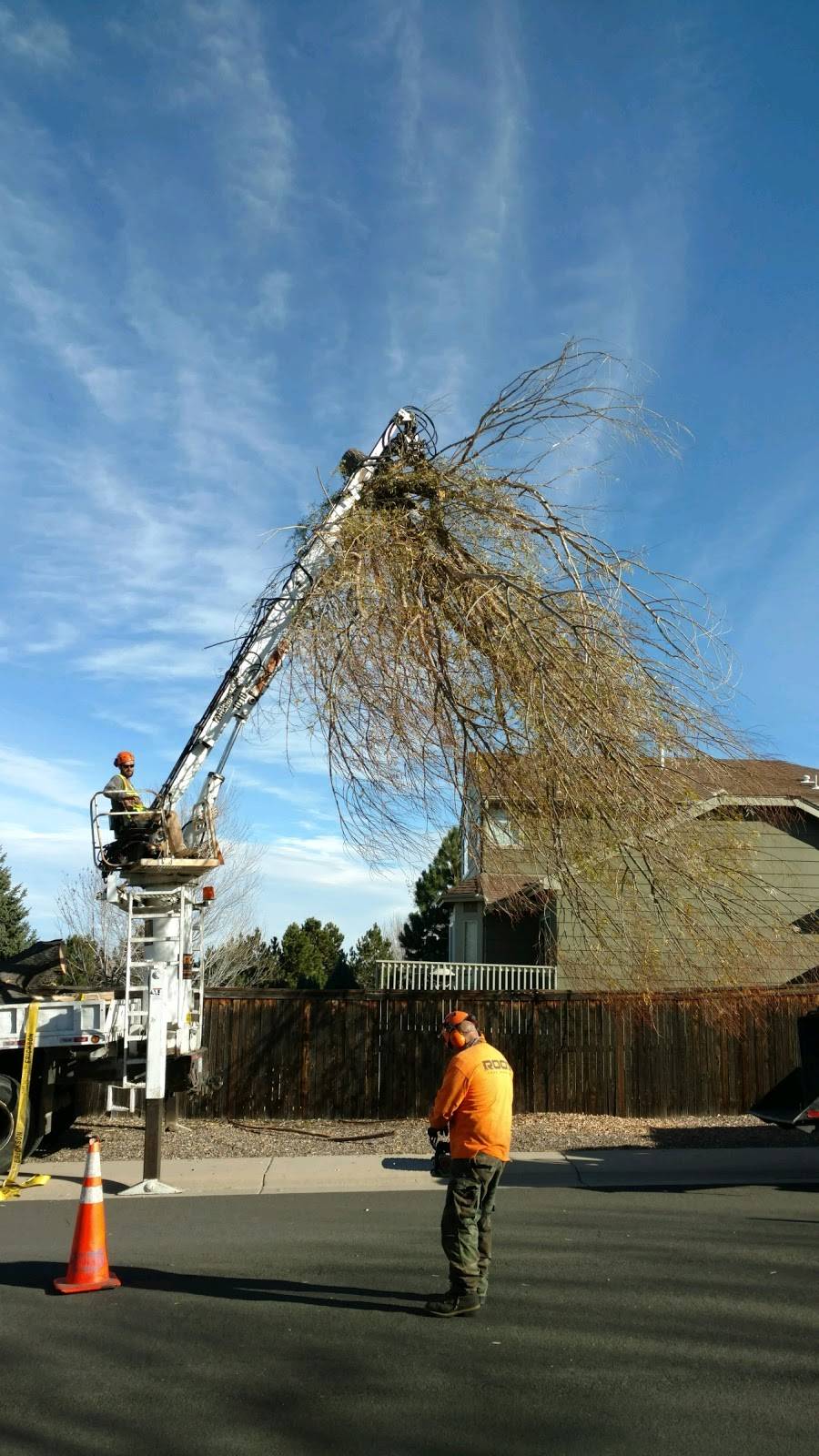 Root Tree Service | 7740 S Dexter Ct #102, Centennial, CO 80122, USA | Phone: (720) 369-2963