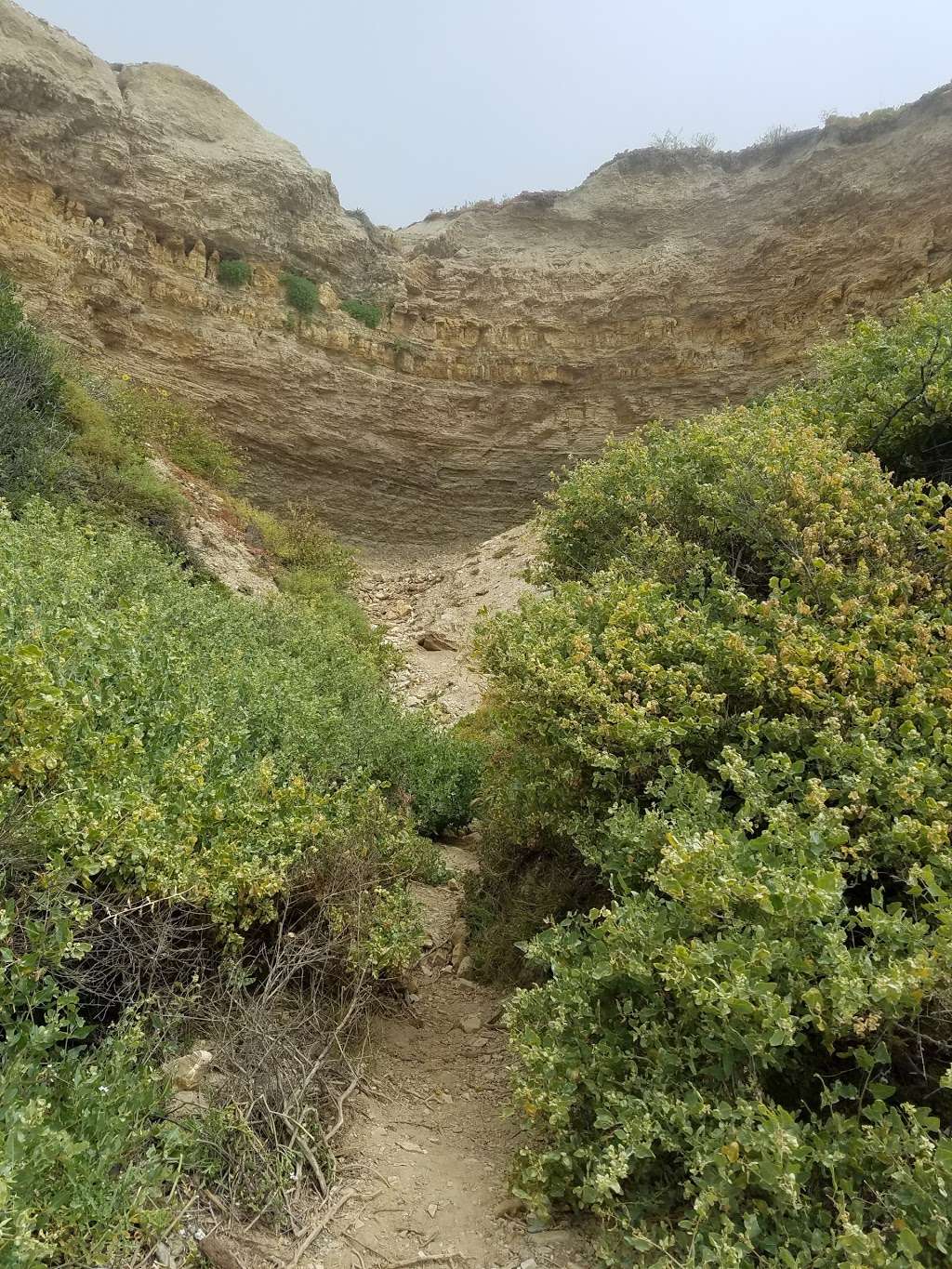 Crystal Cove Trail | Crystal Cove Trail, Newport Beach, CA 92657, USA | Phone: (949) 494-3539