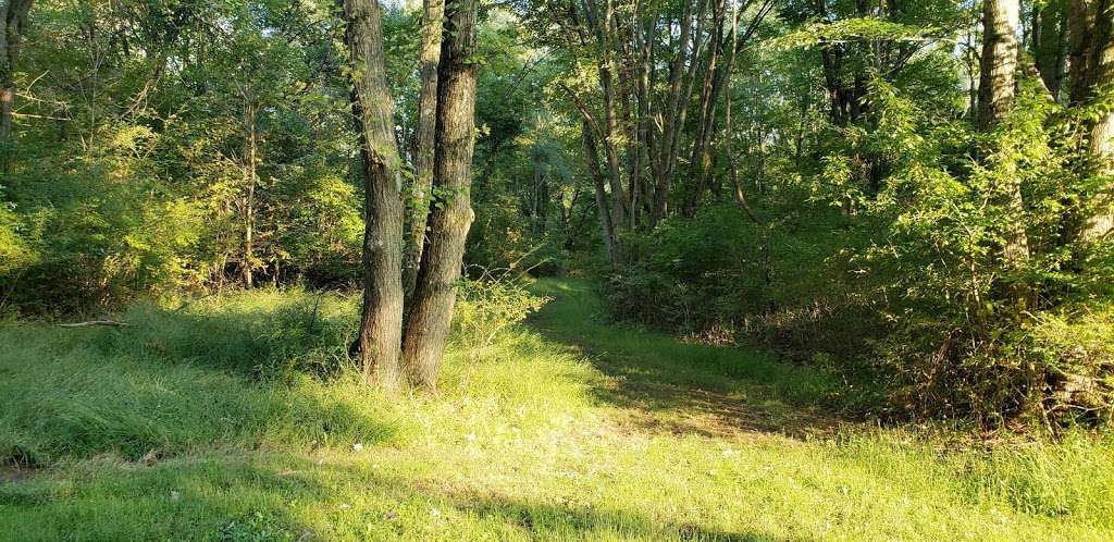 Green Ribbon Trail | Wissahickon Green Ribbon Trail, North Wales, PA 19454, USA