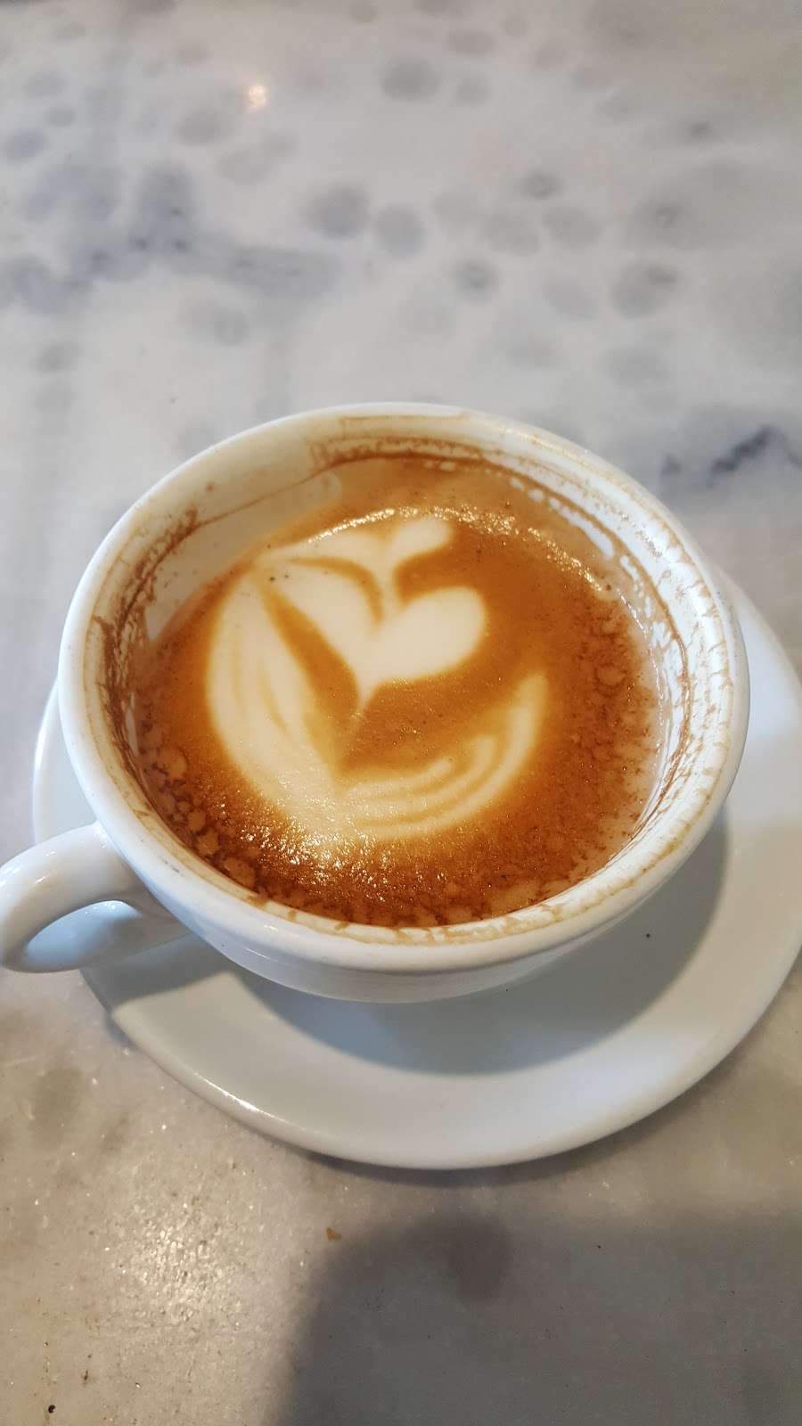Tusk & Cup Fine Coffee | 51 Ethan Allen Hwy, Ridgefield, CT 06877 | Phone: (203) 544-0800