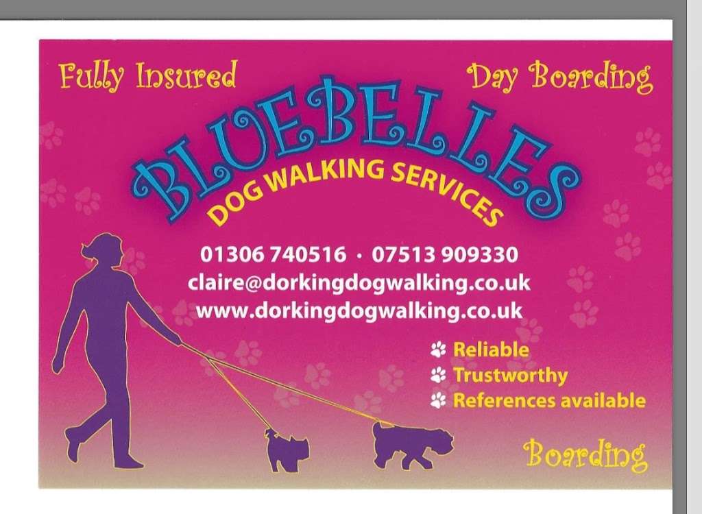 Bluebelles Dog Walking Services | 4 Bradley Farm Cottages, Bradley Lane, Dorking RH5 6AA, UK | Phone: 07513 909330