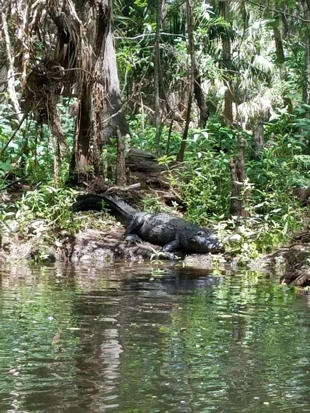 Riverbend Park | 9060 W Indiantown Rd, Jupiter, FL 33478, USA | Phone: (561) 741-1359