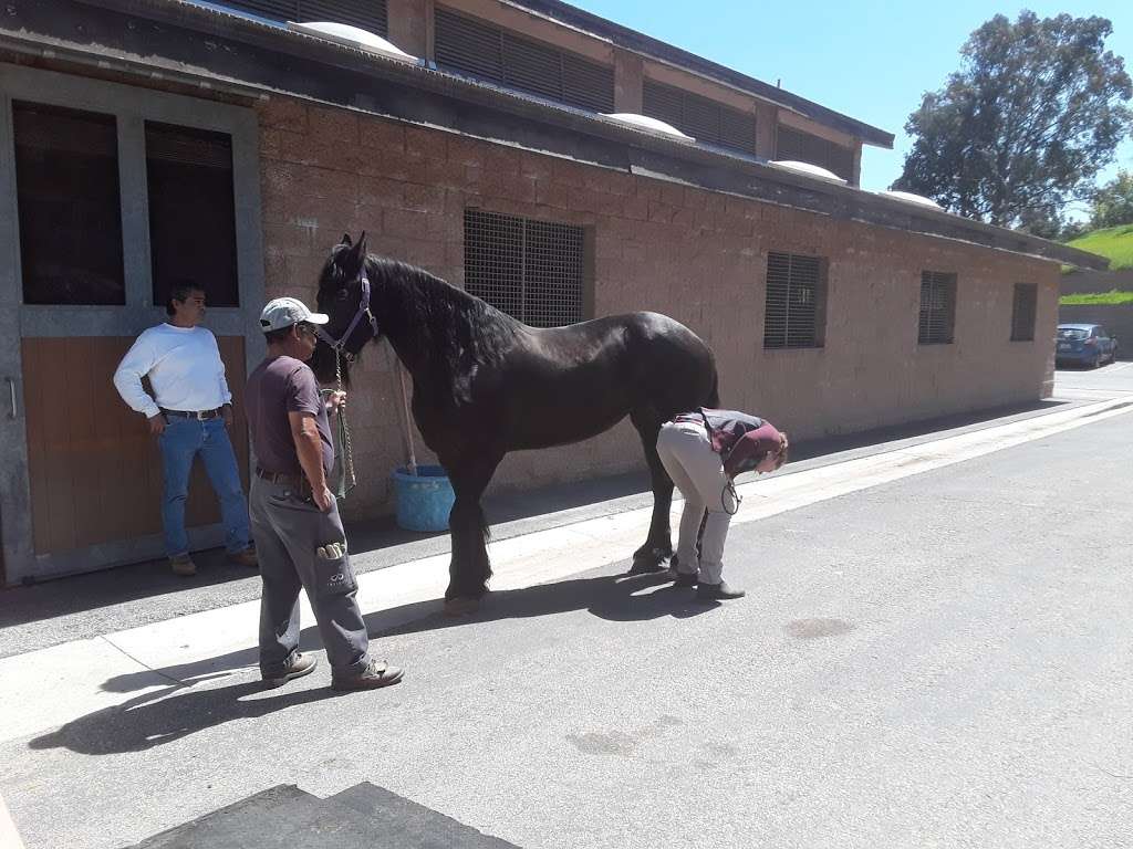 Chino Valley Equine Hospital | 2945 English Pl, Chino Hills, CA 91709, USA | Phone: (909) 628-5545