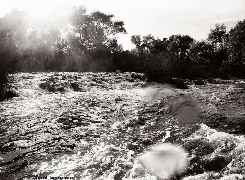 LA River Kayak Safari | 2825 Benedict St, Los Angeles, CA 90039, USA | Phone: (213) 308-5390