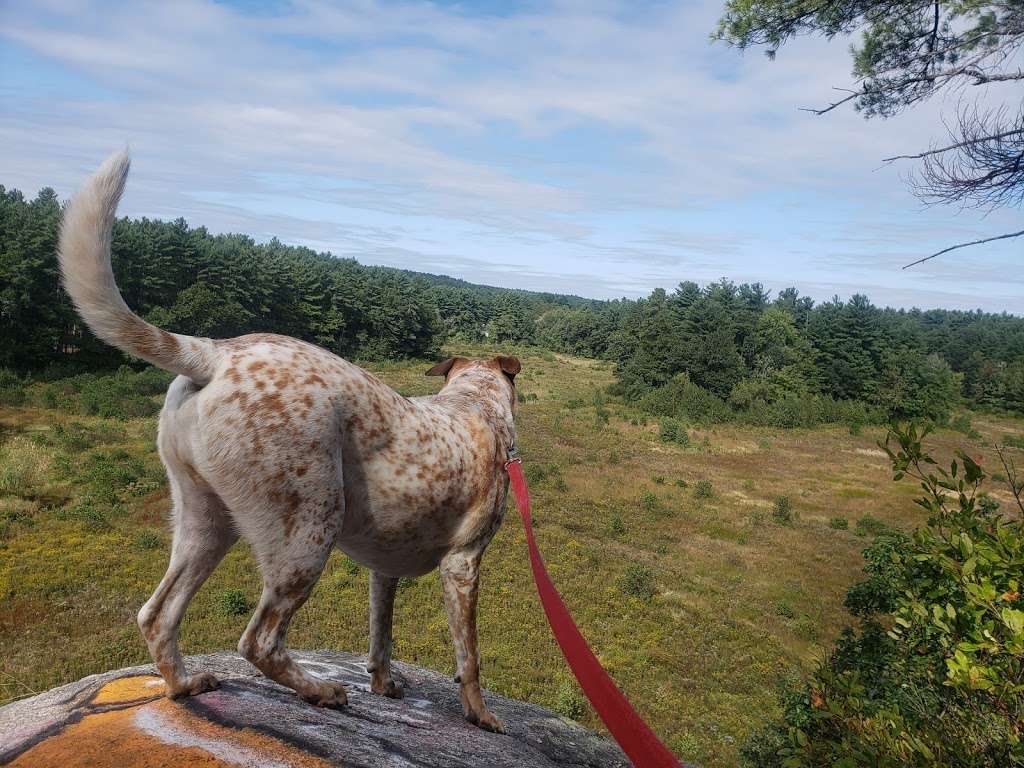 Deer Leap Parking Lot | 99 Woodbury Rd, Windham, NH 03087, USA