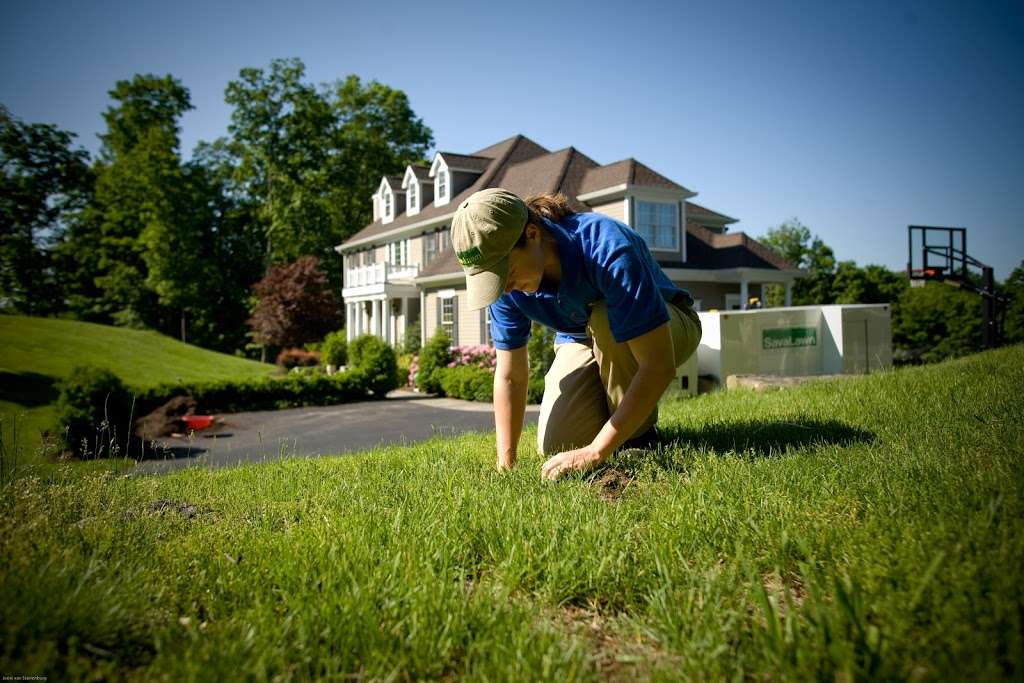 SavATree - Tree Service & Lawn Care | 631 Penns Park Rd, Newtown, PA 18940, USA | Phone: (215) 493-9400