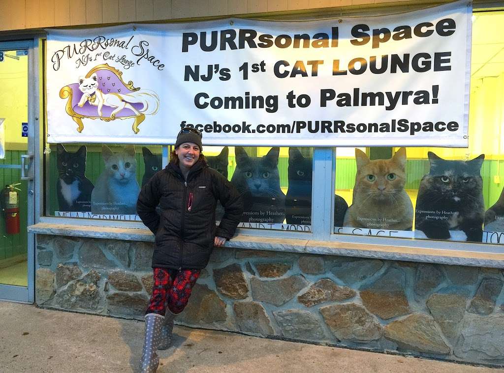 PURRsonal Space - SJs 1st Cat Lounge | 1005 Market St, Palmyra, NJ 08065, USA | Phone: (856) 786-7877