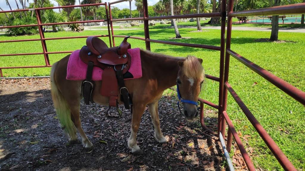 Crandon Park Carousel Shelters | Key Biscayne, FL 33149, USA | Phone: (305) 361-5421