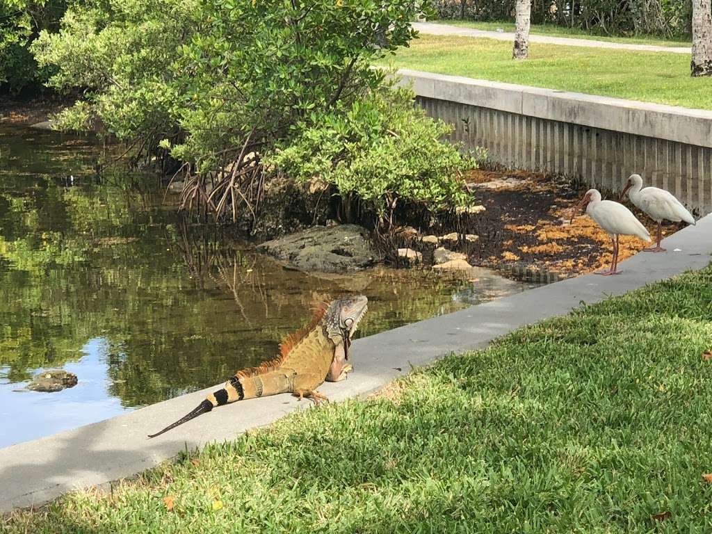 Harvey E. Oyer Jr. Park | 2010 N Federal Hwy, Boynton Beach, FL 33435 | Phone: (561) 503-8940