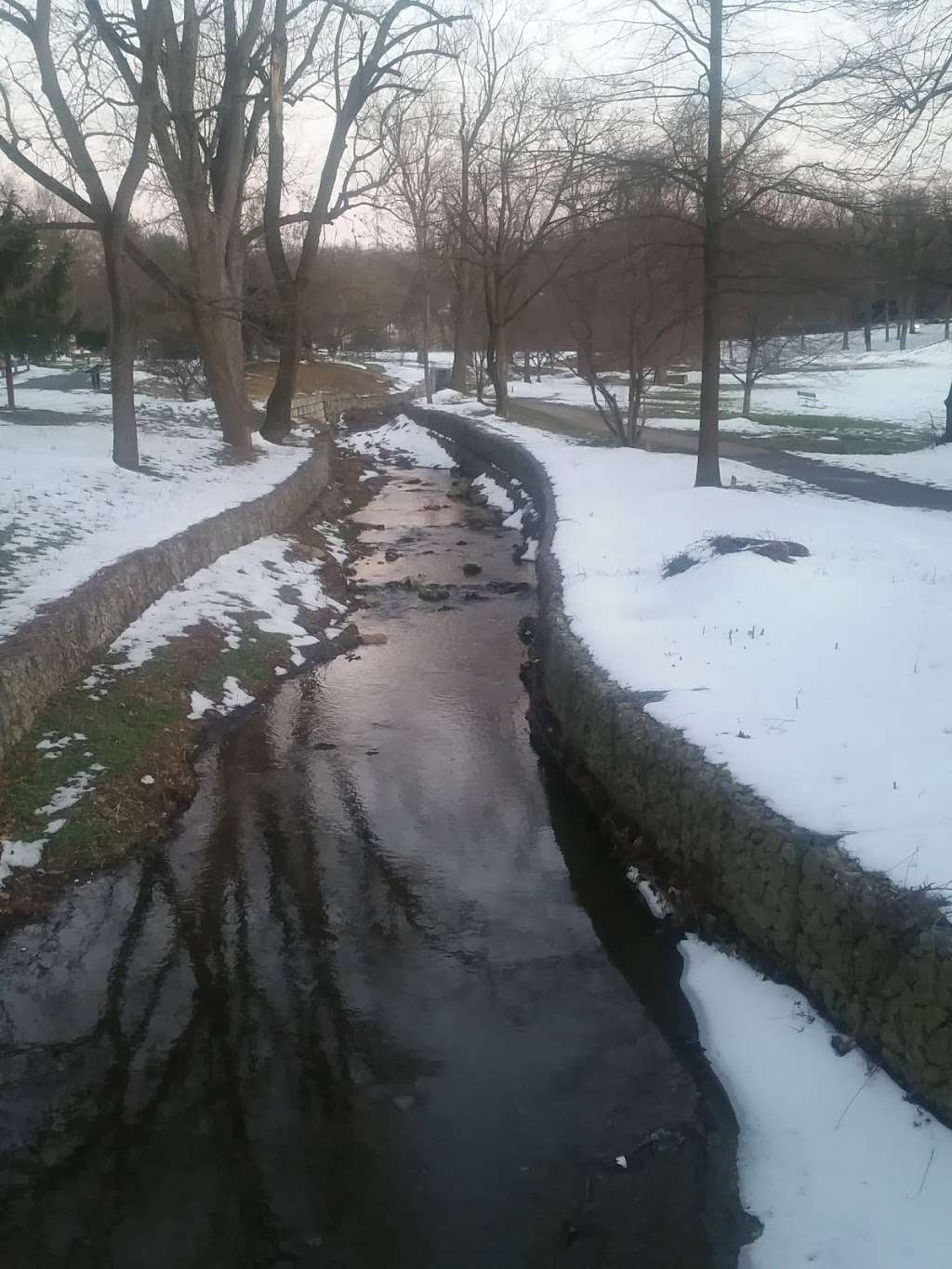 Long Lost Duck Pond | 256-322 Montgomery Ave, Glenside, PA 19038, USA