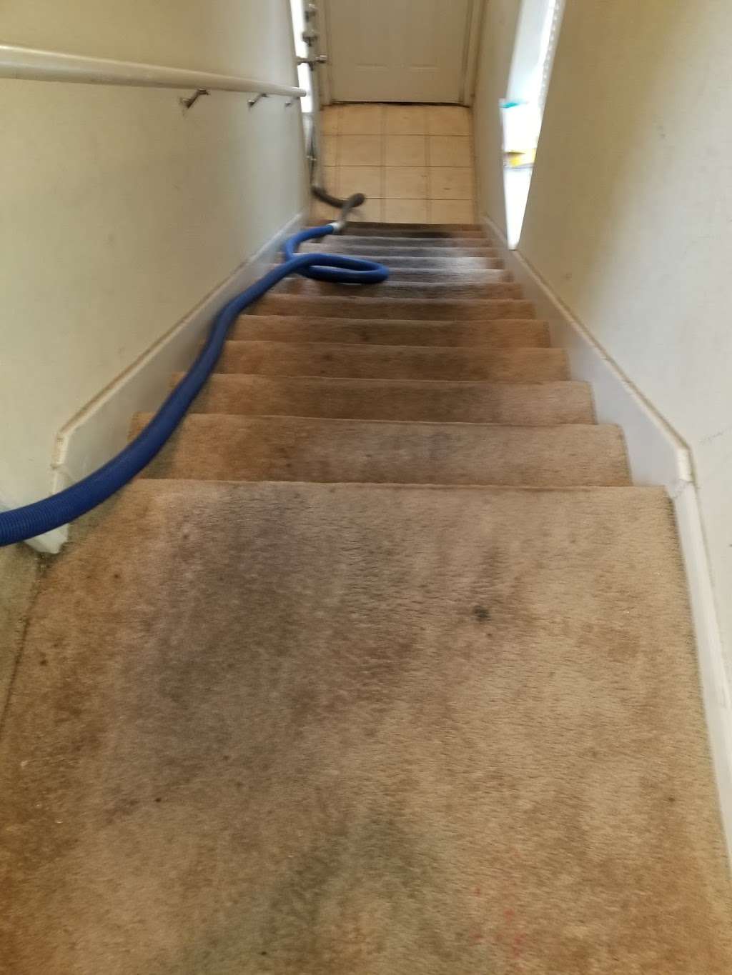 Pristine Carpet Cleaning of Houston | 19438 Camellia Knoll Trail, Houston, TX 77084, USA | Phone: (281) 204-3047