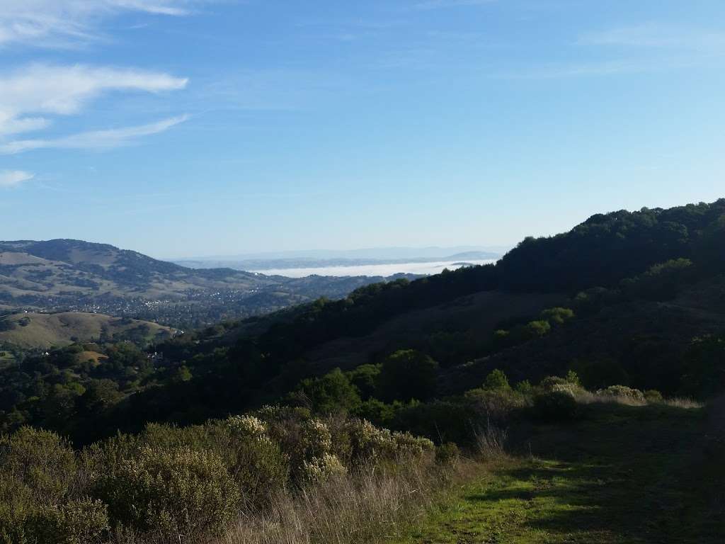 Indian Tree Open Space Preserve | Novato, CA 94947, USA