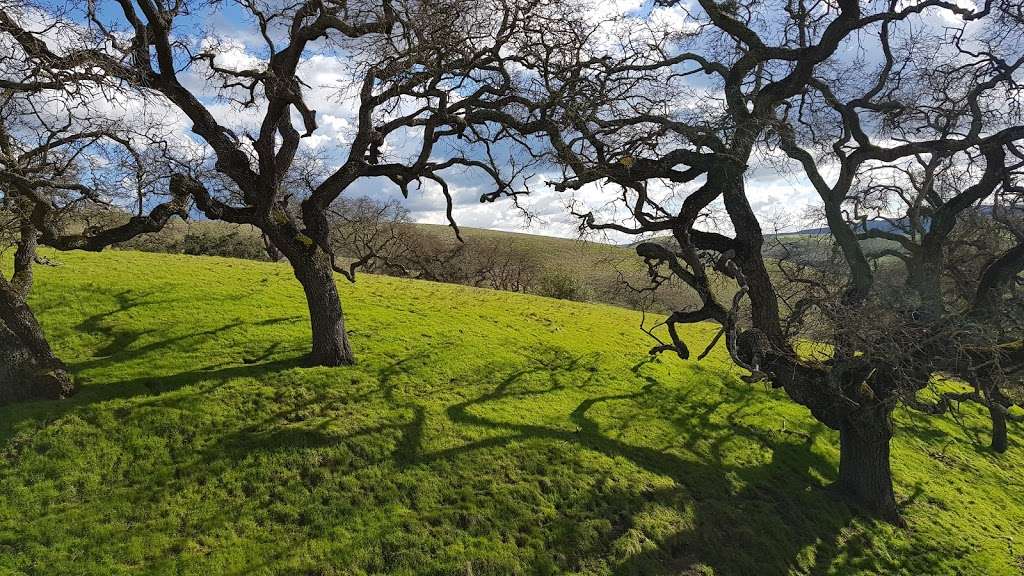 Sycamore Valley Open Space South | Danville, CA 94506, USA