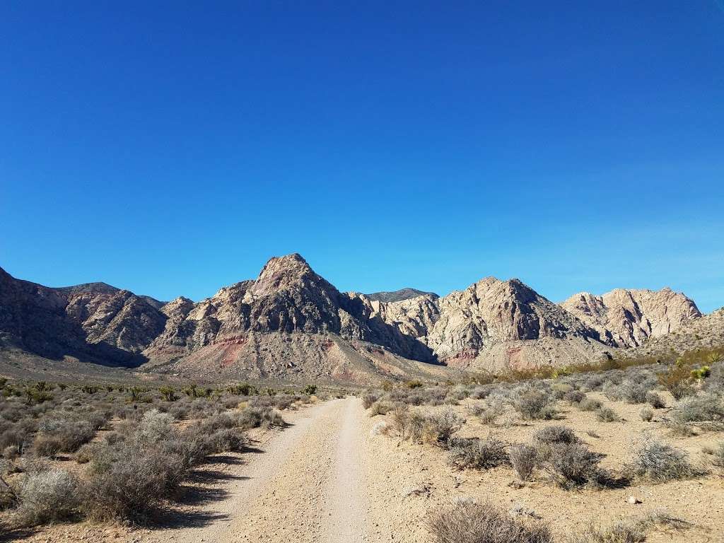 Late Night Trails | Unnamed Rd, Las Vegas, NV 89161