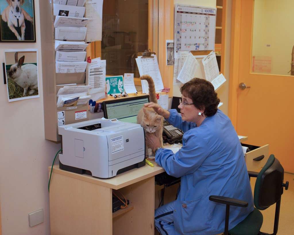 Indian Walk Veterinary Center | 662 Durham Rd, Newtown, PA 18940, USA | Phone: (215) 598-9000