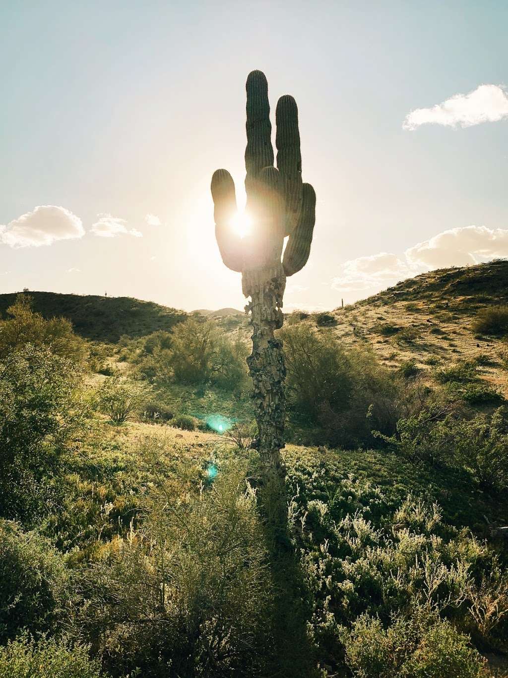 Javelina Canyon Trailhead | Javelina Trail, Phoenix, AZ 85042, USA