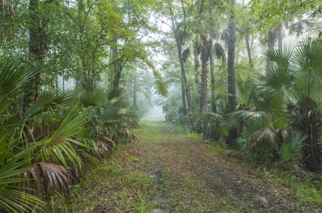 Wekiva River Buffer Conservation Area | Wilderness Drive, Longwood, FL 32779 | Phone: (386) 329-4404