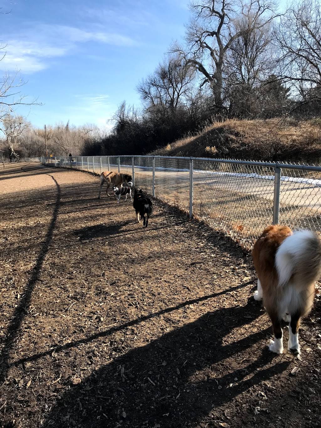 Englewood Canine Corral | Littleton, CO 80120, USA | Phone: (303) 762-2300