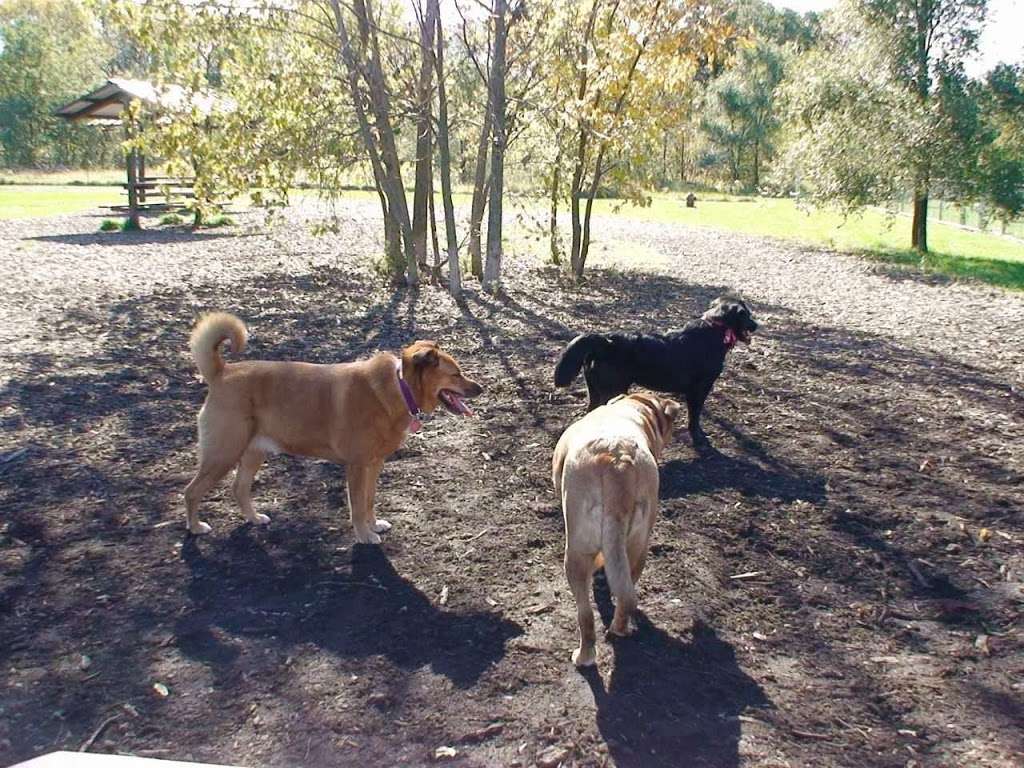 Rovers Run Dog Park | 191st St, Homewood, IL 60430, USA | Phone: (708) 957-0300