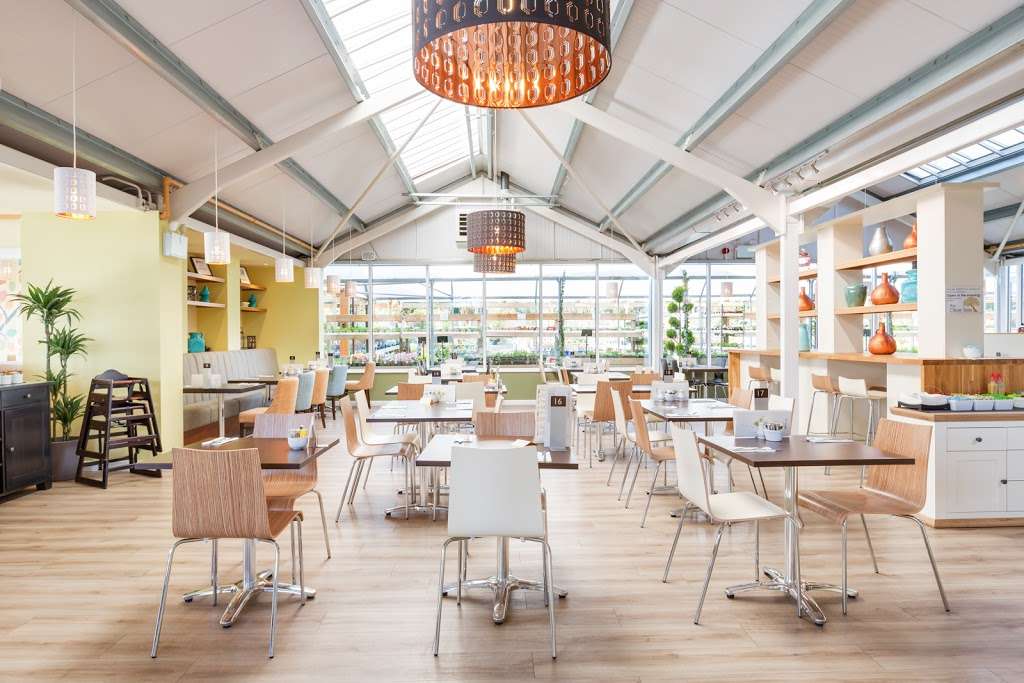 The Olive Tree | 6 Pleasure Pit Rd, Ashtead KT21 1HU, UK | Phone: 01372 271188