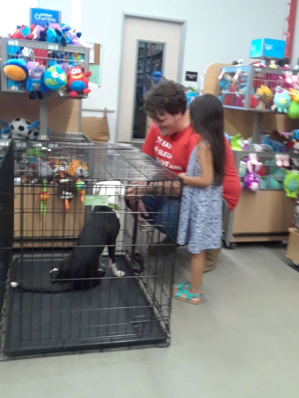 PetSmart | 6345 Garth Rd Suite 140, Baytown, TX 77521, USA | Phone: (346) 216-3983