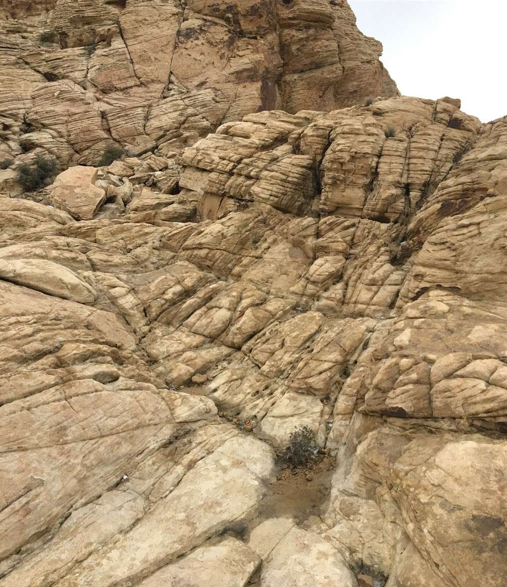 Calico Tanks Trailhead | Sandstone Quarry, Las Vegas, NV 89161, USA