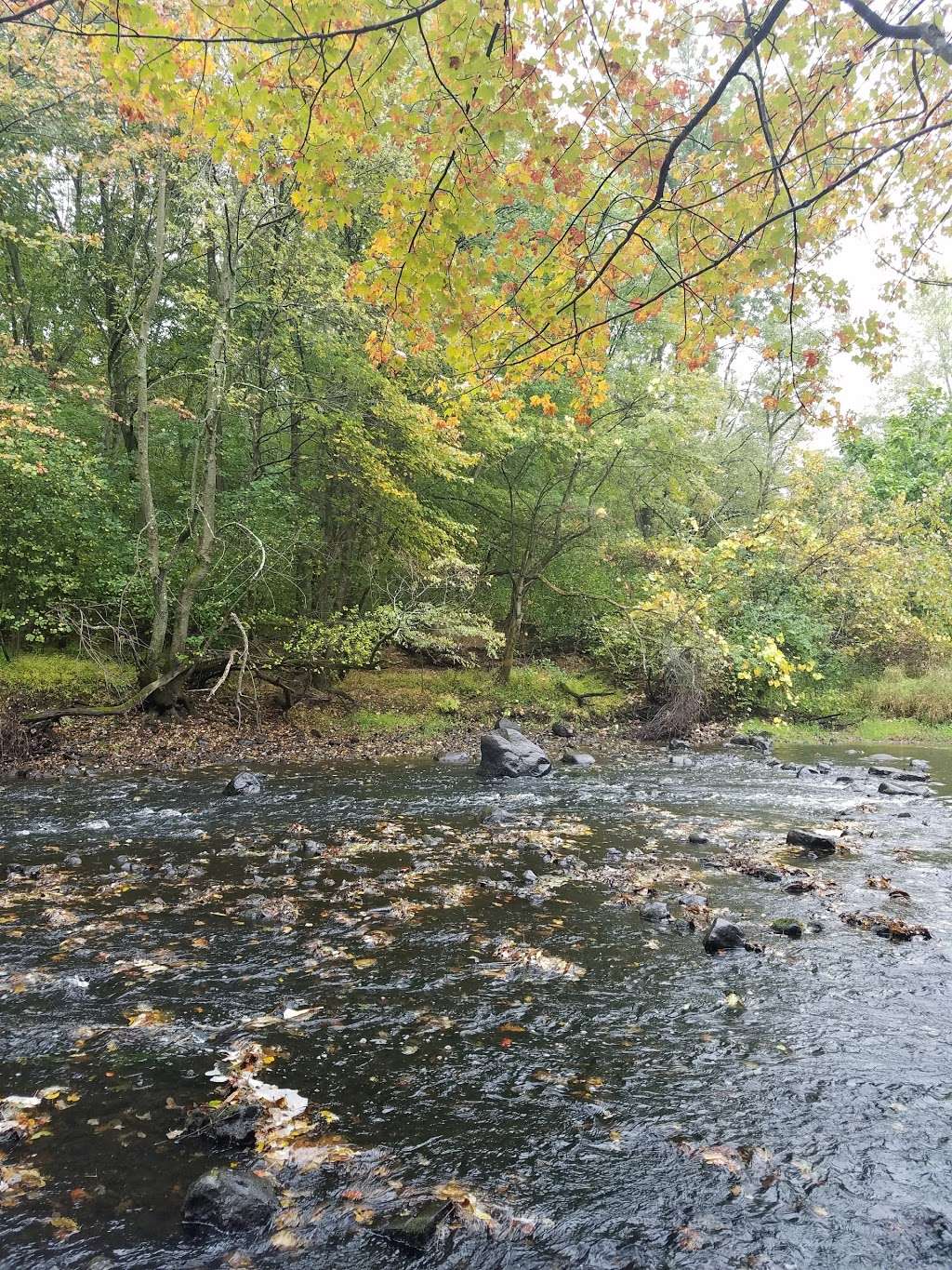 Carol Getchell Reservation | 56 Little Farms Rd #98, Framingham, MA 01701, USA