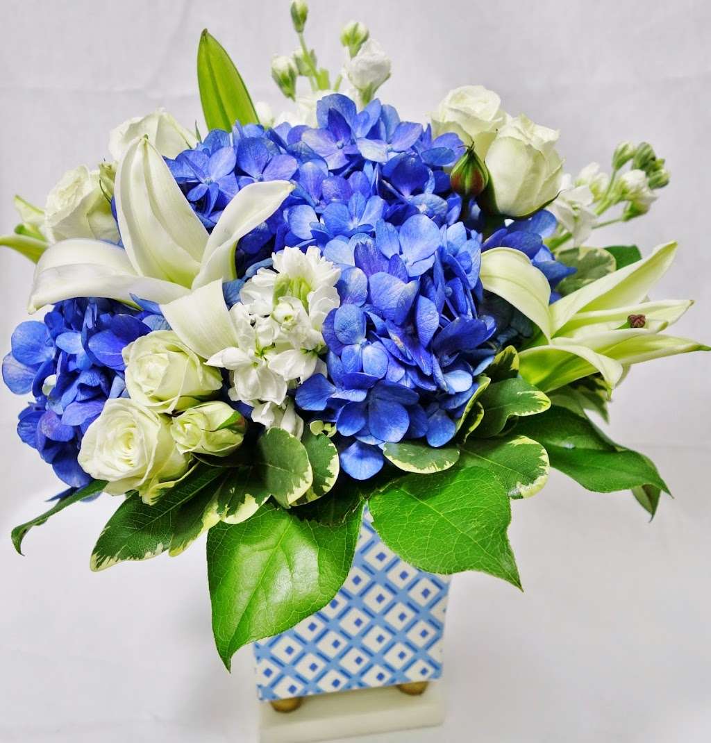 Lane Florist | 6616 Snider Plaza, Dallas, TX 75205, USA | Phone: (214) 363-1637