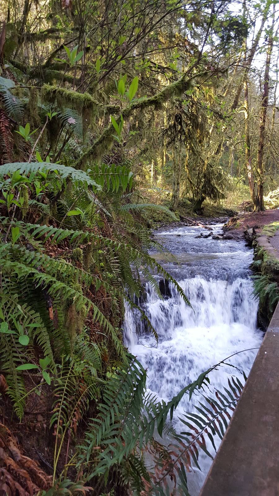 Lower Saltzman Road Trailhead | 5991-6099 NW Saltzman Rd, Portland, OR 97210, USA | Phone: (503) 223-5449