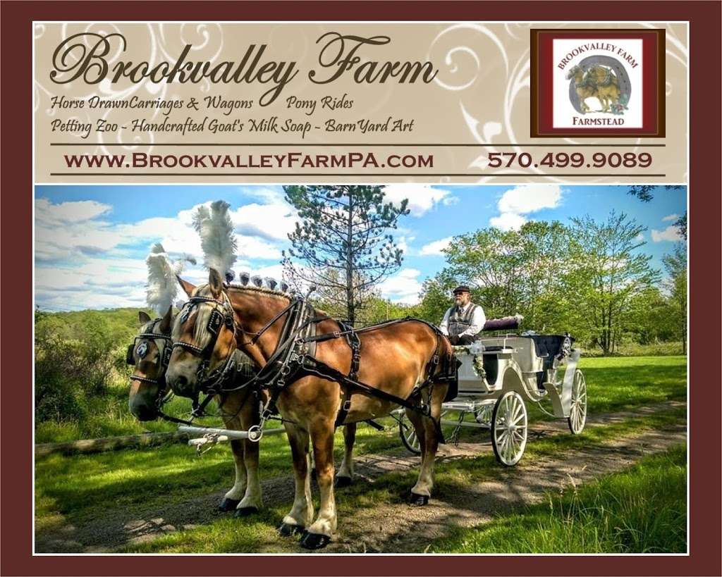 Brookvalley Farm, LLC | 22 Brookvalley Road (Formerly RR #1, Box 27A, Carbondale, PA 18407, USA | Phone: (570) 499-9089