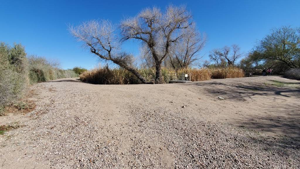 Sweetwater Wetlands Park | 2511 W Sweetwater Dr, Tucson, AZ 85745, USA | Phone: (520) 791-4331