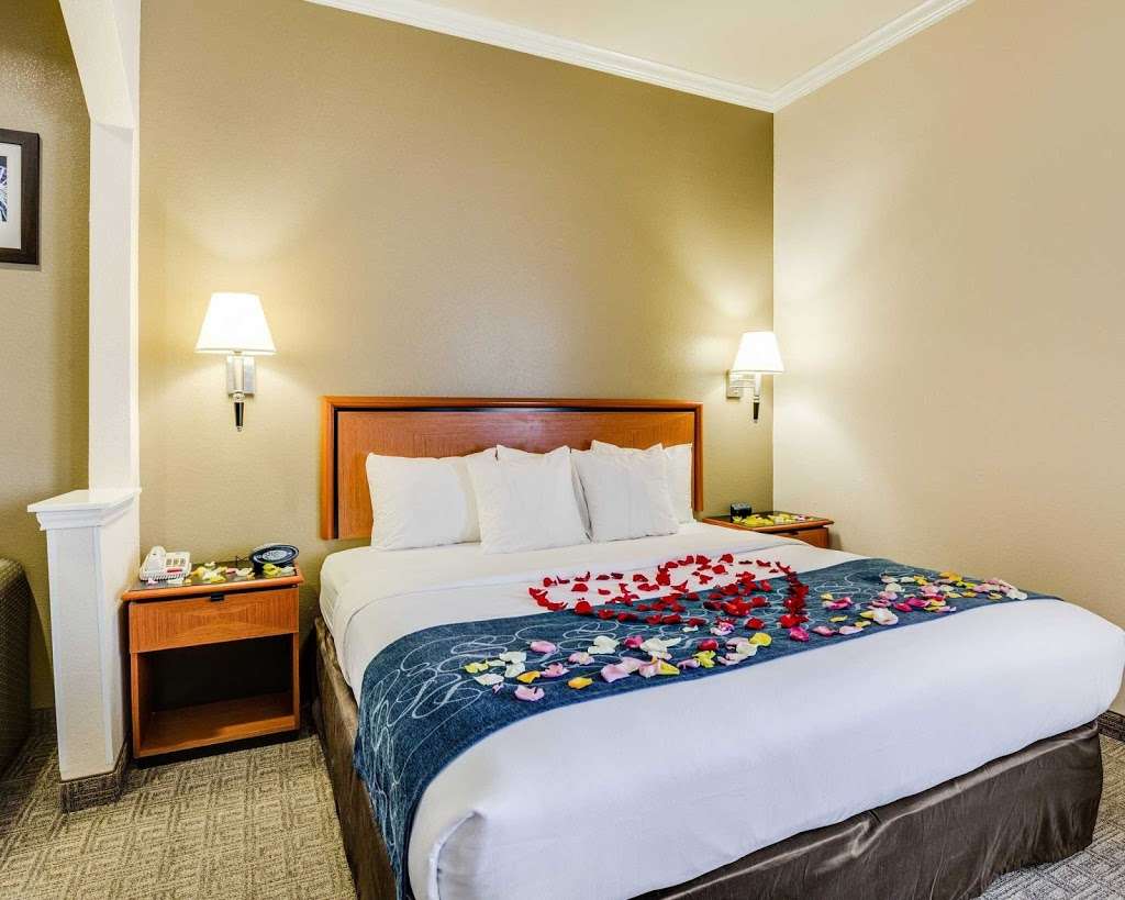 Comfort Suites | 1501 Center St, Deer Park, TX 77536, USA | Phone: (281) 930-8888