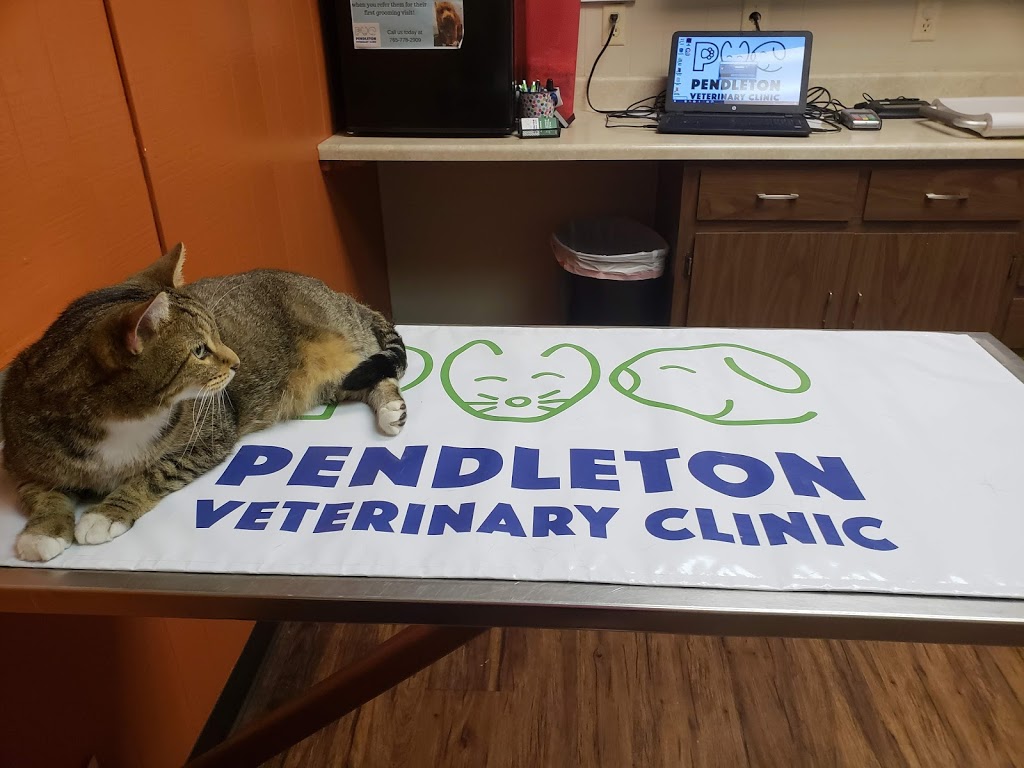 Pendleton Veterinary Clinic | 1011 S Pendleton Ave, Pendleton, IN 46064, USA | Phone: (765) 778-2909