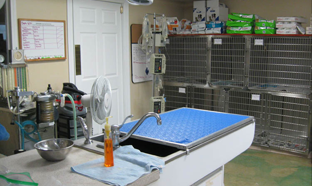 Critter Care Veterinary Services | 4287 Eldamain Rd, Plano, IL 60545, USA | Phone: (630) 552-7804