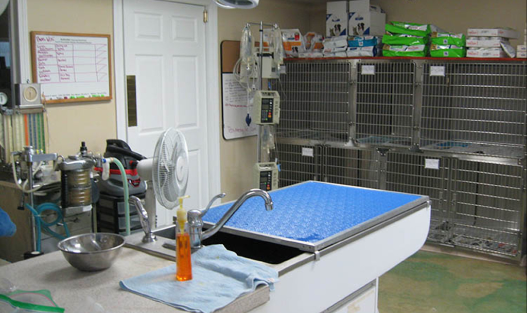 Critter Care Veterinary Services | 4287 Eldamain Rd, Plano, IL 60545 | Phone: (630) 552-7804