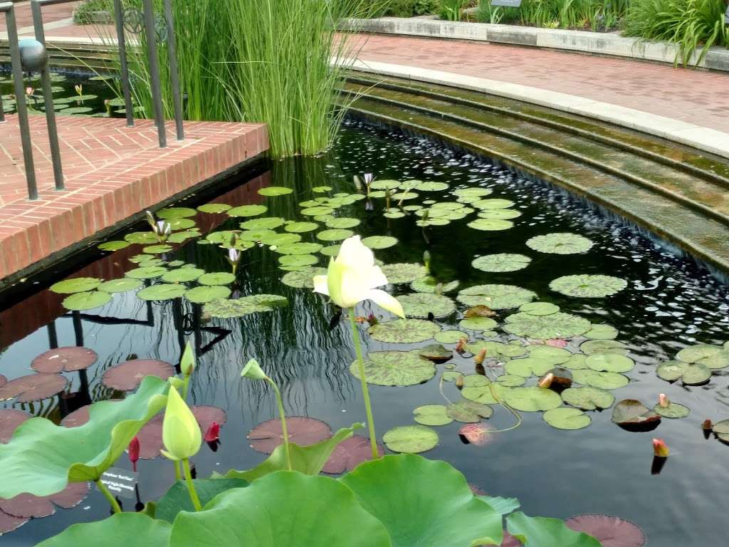 Chicago Botanic Garden | 1000 Lake Cook Rd, Glencoe, IL 60022, USA | Phone: (847) 835-5440