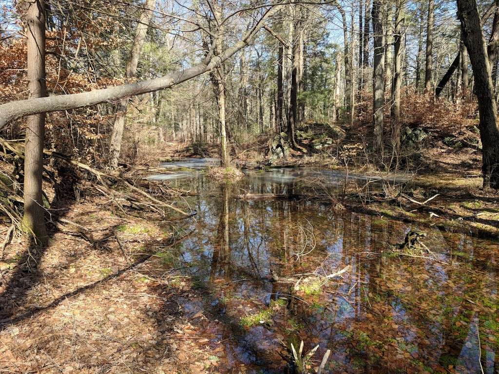 Clarence Fahnestock State Park | Clarence Fahnestock State Park, Putnam Valley, NY 10579, USA