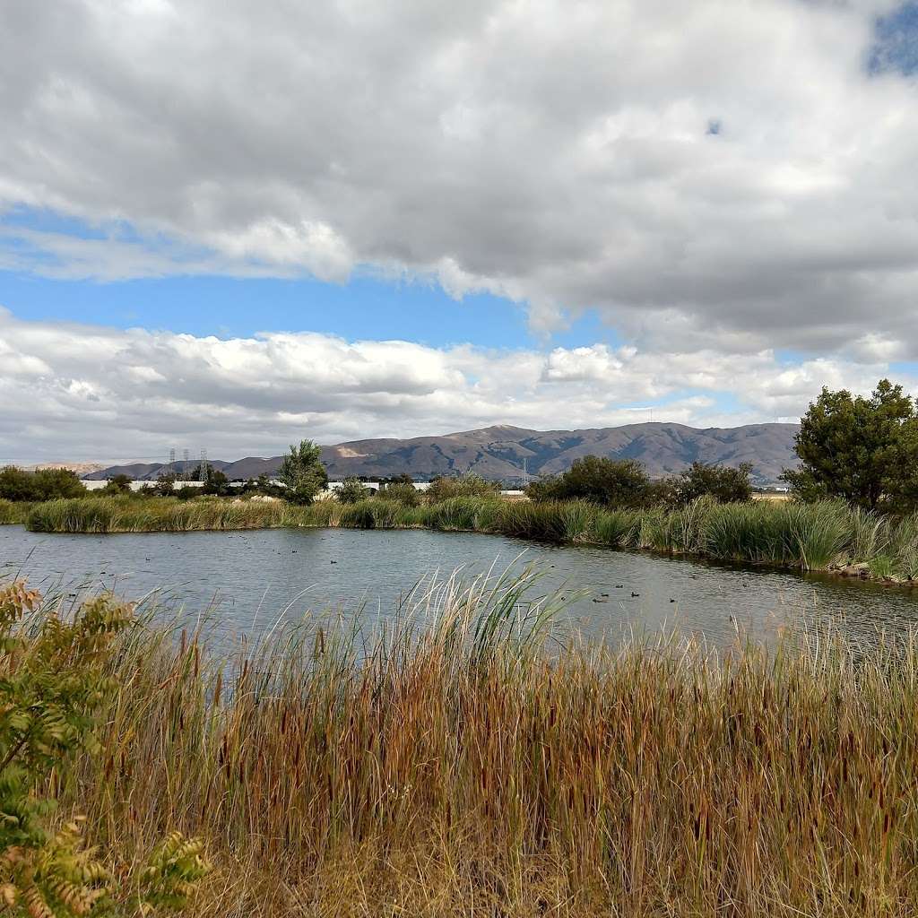 Pacific Commons Linear Park | Nobel Dr, Fremont, CA 94538, USA