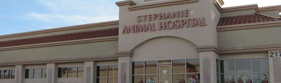 Stephanie Animal Hospital | 217 S Stephanie St, Henderson, NV 89012, USA | Phone: (702) 567-9191